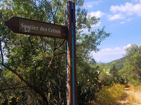 Panorama des Hautes-Chaumes depuis le sentier des crêtes