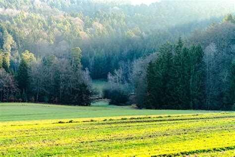 Champ verdoyant dans un paysage désertique, résultat du projet