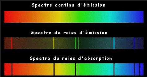 Comparaison des capacités d'absorption de différentes litières