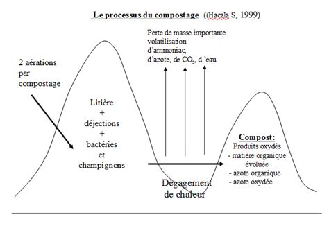 Schéma du processus de compostage du fumier de cheval
