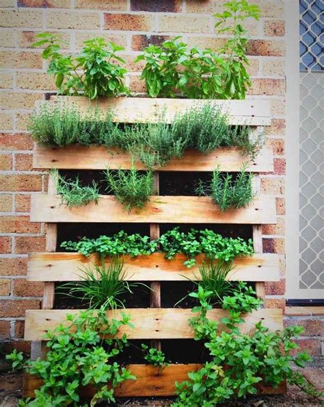Jardin vertical avec légumes et herbes aromatiques