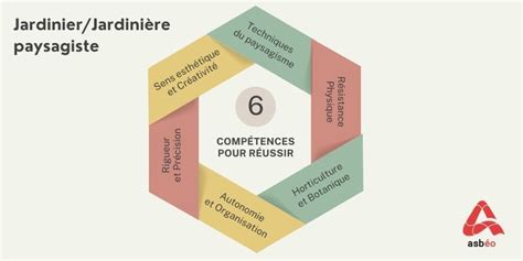 Infographie sur les compétences clés du jardinier paysagiste