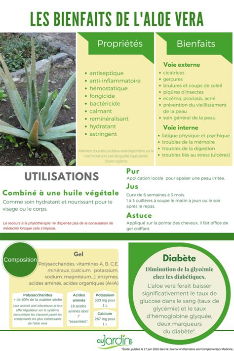Infographie comparant les bienfaits de l'aloe vera en usage interne et externe