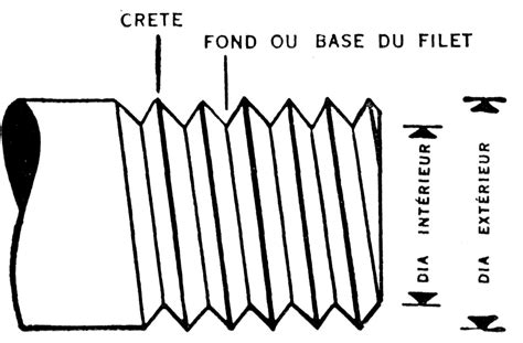 Schéma technique détaillant les composants d'une vis : tête, filetage, corps et pointe