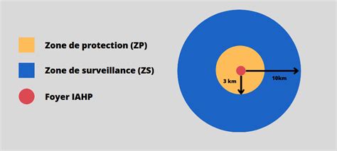Diagramme montrant la zone de protection d'un chapeau à large bord