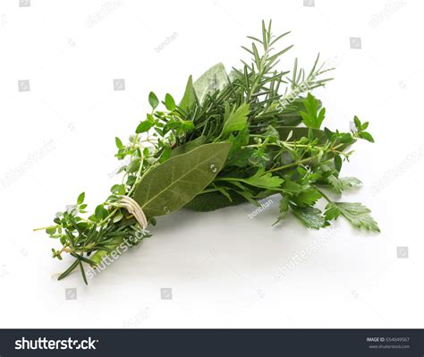 Composition du bouquet de fines herbes classiques sur une planche en bois