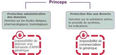 Infographie comparant le processus d'homologation d'un médicament princeps et d'un générique
