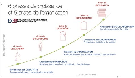 Infographie détaillant les étapes de croissance d'une entreprise de paysage en France