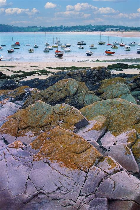 Paysage du littoral breton avec des champs d’algues