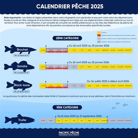 Infographie sur la réglementation de la pêche à pied