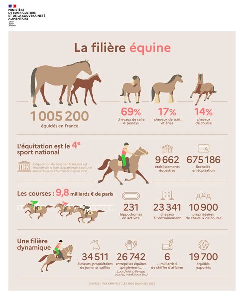 Schéma illustrant les différentes méthodes de reproduction équine, de la monte en liberté à l'insémination artificielle