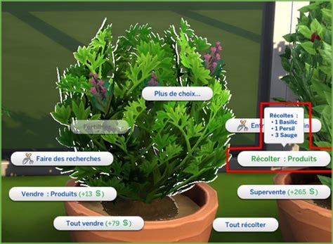 Sims 3 qualité des plantes jardinage