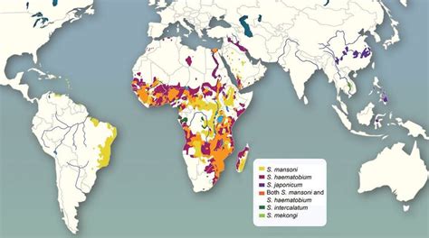 Carte de répartition géographique des différentes espèces de Nerium