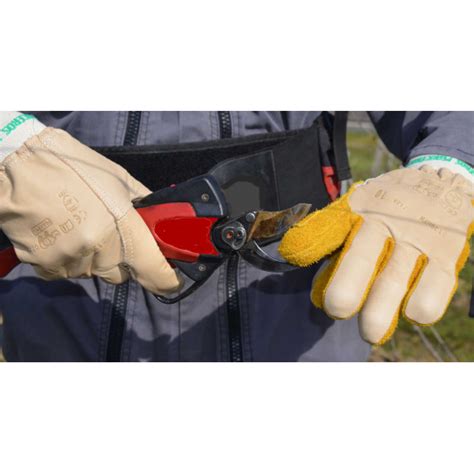 Kit de maintenance pour sécateur électrique