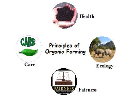 Organic farming principles