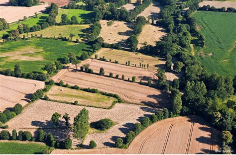 Paysage bocager typique de la Mayenne avec ses haies structurantes et ses arbres isolés