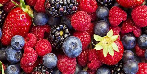 Récolte de petits fruits dans un jardin