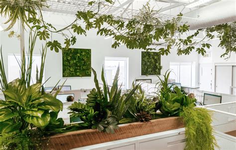 Plantes suspendues artificielles dans un bureau moderne