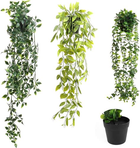 Diversité des plantes artificielles suspendues