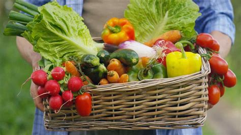 Panier de légumes biologiques variés