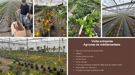 Diversité des métiers en horticulture