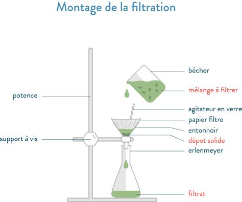 Schéma expliquant les étapes de filtration de la décoction de lierre pour obtenir une lessive propre.
