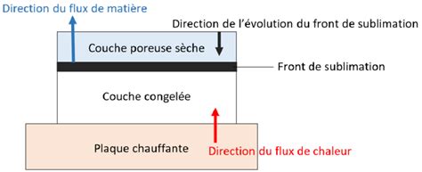 Schéma explicatif du processus de sublimation du soufre sur une feuille de courgette