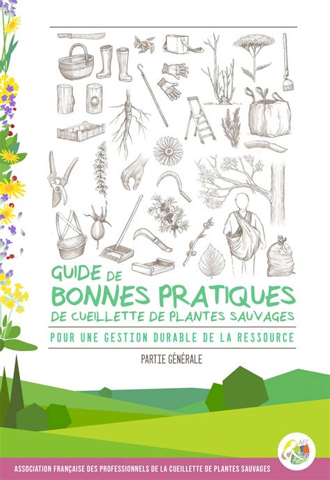 infographie sur les bonnes pratiques de cueillette en forêt et les outils déconseillés