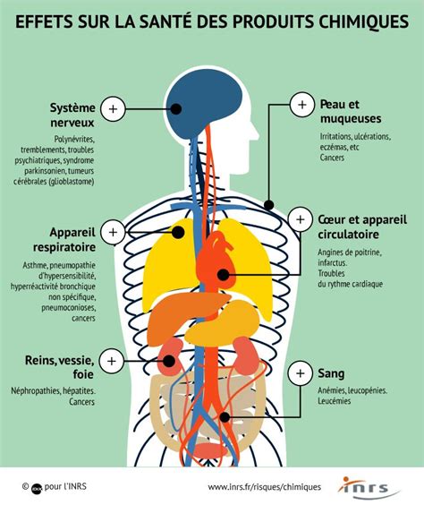 Infographie sur les composants chimiques du lierre