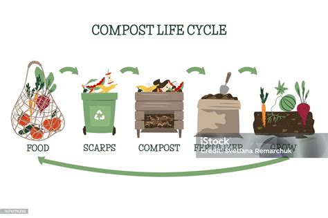 Schéma illustrant le cycle de vie du compost de champignons et son intégration dans l'économie circulaire