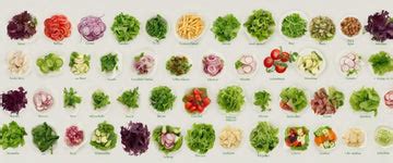 Variétés de salades colorées