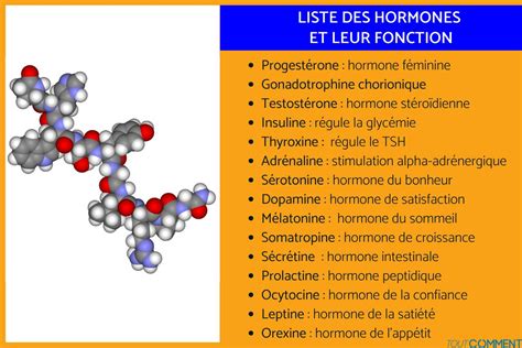 Infographie comparant l'efficacité des hormones synthétiques, des stimulateurs naturels et de l'eau de saule