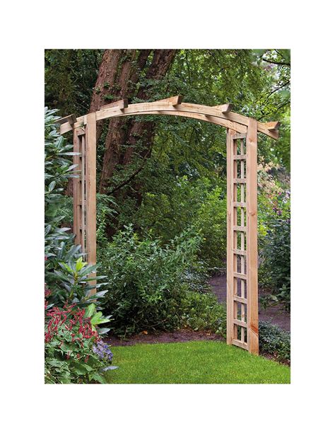Rosier grimpant habillant une pergola