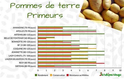 Infographie présentant les besoins en pieds de pommes de terre selon la taille du foyer (2, 4, 6 personnes)