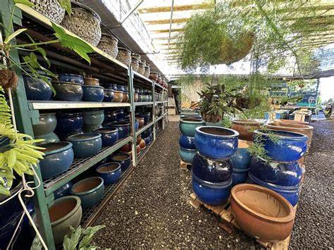 Magasin de jardinage avec une large sélection d'outils et d'équipements