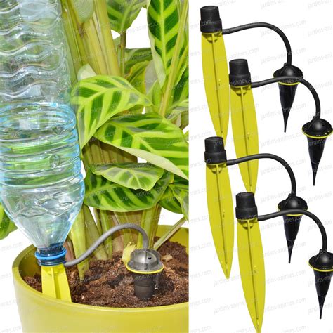 Système d'arrosage goutte à goutte pour bambous en pot