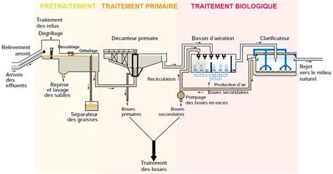 Schéma comparant les méthodes de traitement des semences : chimique vs. biologique