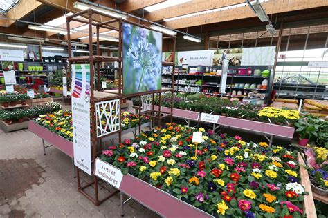 Entrée d'un magasin de jardinage avec des plantes