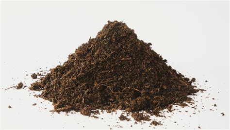 Gros plan sur un tas de terreau de qualité