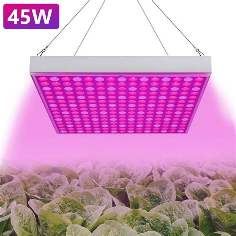 Image d'une lampe de croissance LED