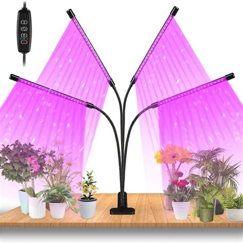 Diagramme illustrant le positionnement correct d'une lampe de croissance au-dessus d'une plante