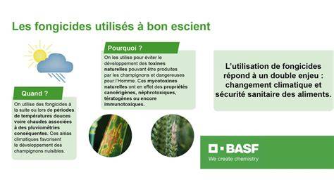 figure 3: comparaison de l'efficacité de différents fongicides contre la tache blanche du maïs