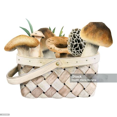Champignons cèpes dans un panier en osier