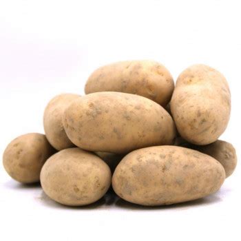 Pomme de terre Trésor en terre