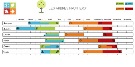 Calendrier de fertilisation des arbres fruitiers