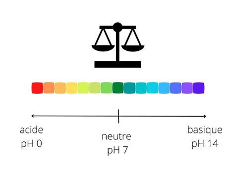 Schéma explicatif illustrant l'impact de l'équilibre acido-basique sur les différentes fonctions corporelles