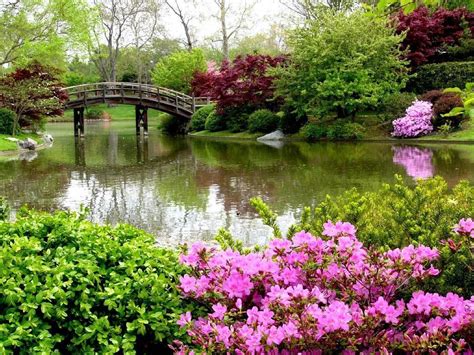 Paysage verdoyant et jardin fleuri à Mantes-la-Jolie