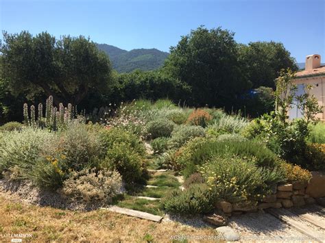jardin sec méditerranéen avec plantes aromatiques et succulentes