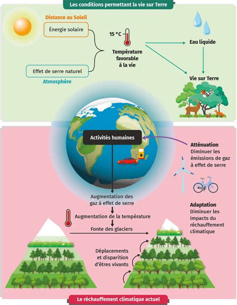 Schéma illustrant les conditions favorables à la mousse : ombre, humidité et acidité du sol