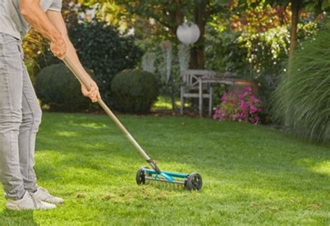Photo montrant l'utilisation d'un scarificateur manuel sur une pelouse